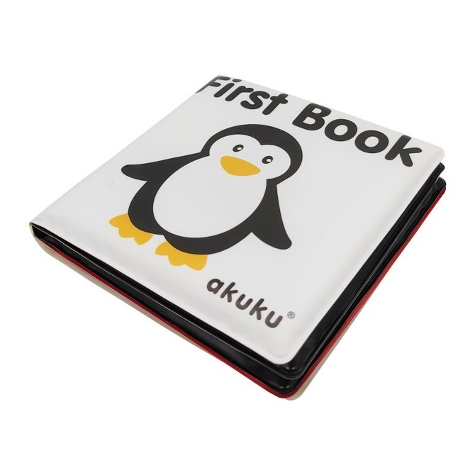 A0476 Educational book First Book