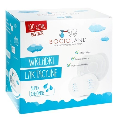 1569 NURSING PADS BIG PACK 100PCS